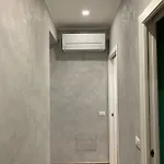 شقة 